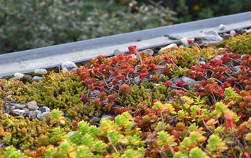 the cost of Broadhaugh green roof installation