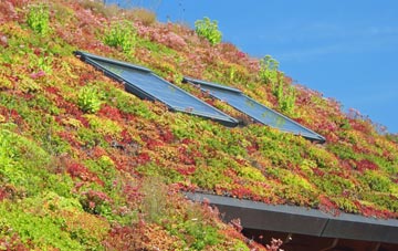 Broadhaugh living roof systems