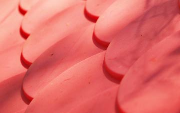 Broadhaugh plastic roof costs