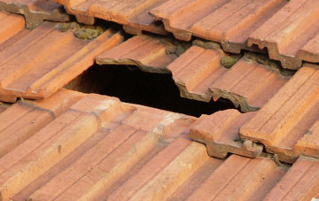 roof repair Broadhaugh, Scottish Borders